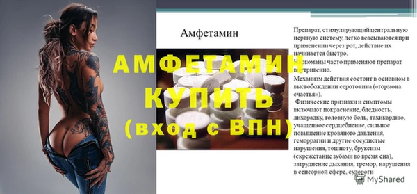 индика Протвино
