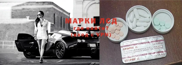 мяу мяу мука Алзамай