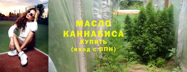 индика Протвино