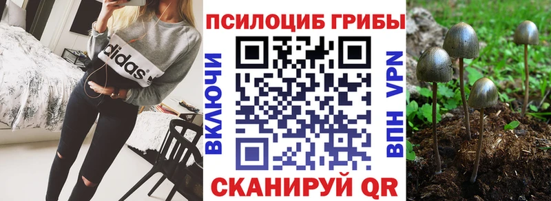 Псилоцибиновые грибы Psilocybine cubensis  наркотики  кракен зеркало  shop наркотические препараты  Мышкин 